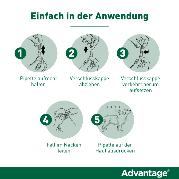 ADVANTAGE 100 Lösung f.Hunde 4-10 kg