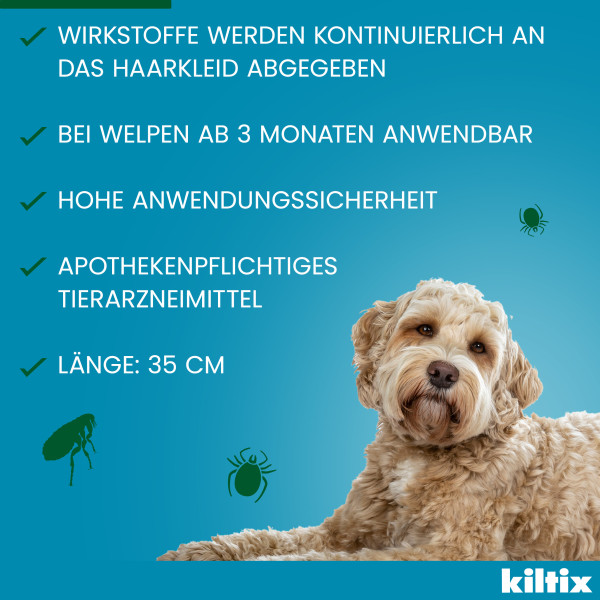 KILTIX Halsband f.kleine Hunde