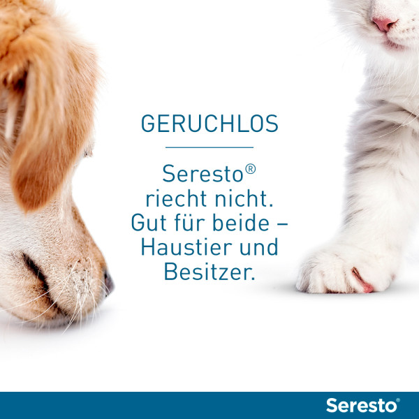 SERESTO 1,25g + 0,56g Halsband für Hunde bis 8kg